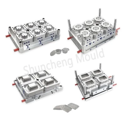 Thin Wall Injection Molding Plastic Mold