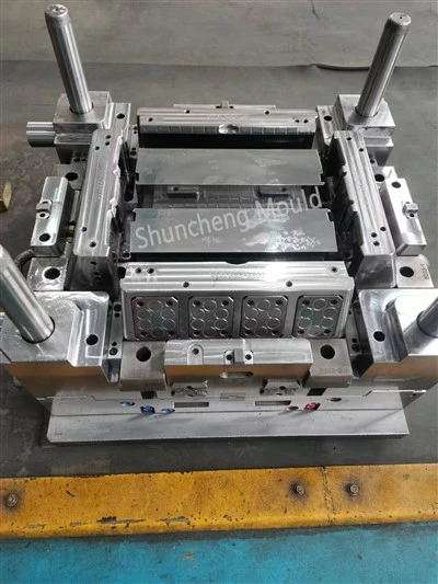 Plastic Refrigerator Shelf Mould