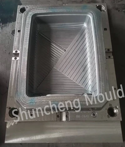 Plastic Trolley Case Mould